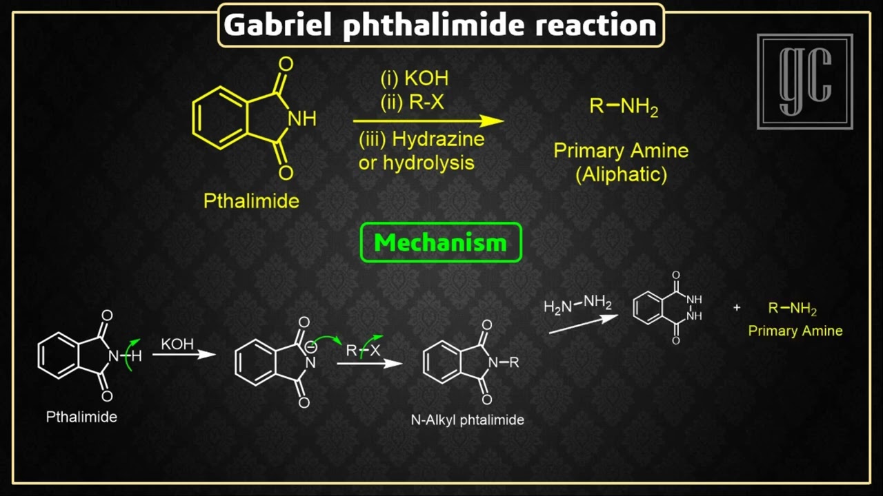 Gabriel Phthalimide (Name reactions-Series)-GC