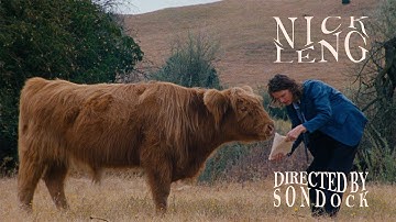 Nick Leng - Beetlebugs (Official Music Video)