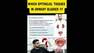 Anatomy Quiz: Can You Answer This Bladder Tissue MCQ? 🩺 | BSN 1st Semester #shorts