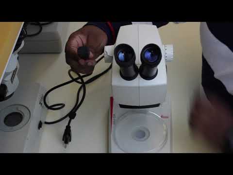 BioEYES Refresher: Using the Microscopes