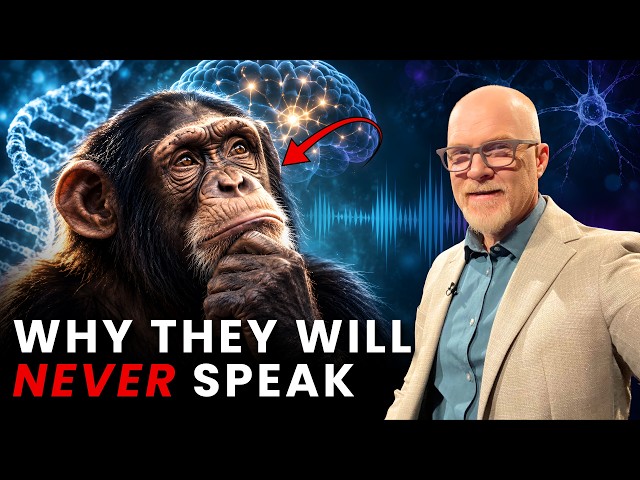 Thumbnail for Origins: Why Can't Chimps Talk?