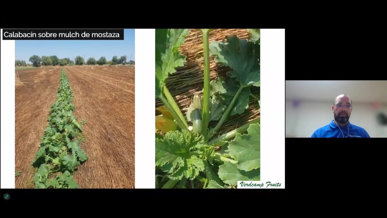 V Seminario Suelos Vivos - Ernest Mas