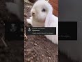 Heute kommentiere ich eure Kommentare P3 Der Livestream kommt am 04.11. um 19:00 Uhr