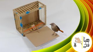 كيف تصنع صيادة عصافير