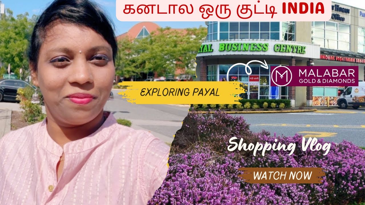 கனடால ஒரு குட்டி India வே இருக்கு 🇨🇦🇮🇳 l Mini INDIA in CANADA 🤗 l Payal Business Centre, Surrey 🇨🇦 