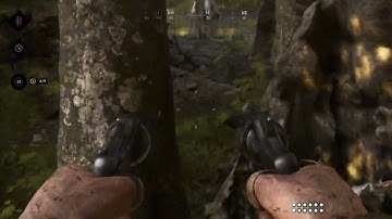 Hunt  Showdown 2025 01 22 Dual New Army Swift kill