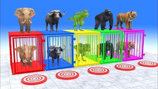 Long Slide Game With Elephant Gorilla Buffalo Hippopotamus Tiger - 3d Animal Game - Funny 3d Animals