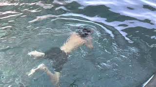 Lifeguard Pre-course Test