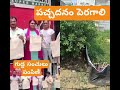 యూస్ cloth bags