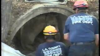 Horse Rescue 04033B Fox11