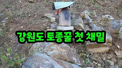 강원도 토종꿀 첫 채밀 얼마나 했을까?