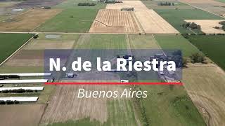 Venta CAMPO en Norberto de la Riestra. Ideal Cría de Cerdos con Infraestructura
