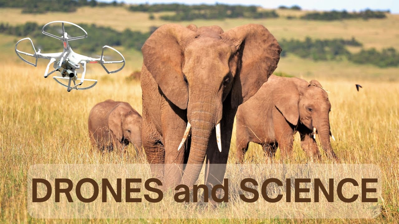 How Are Drones Used For Cutting-Edge Science? (YDQA EP 113) How Are Drones Used For Cutting-Edge Science? (YDQA EP 113)