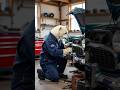 The  Bear Mechanic. #shorts #trending .