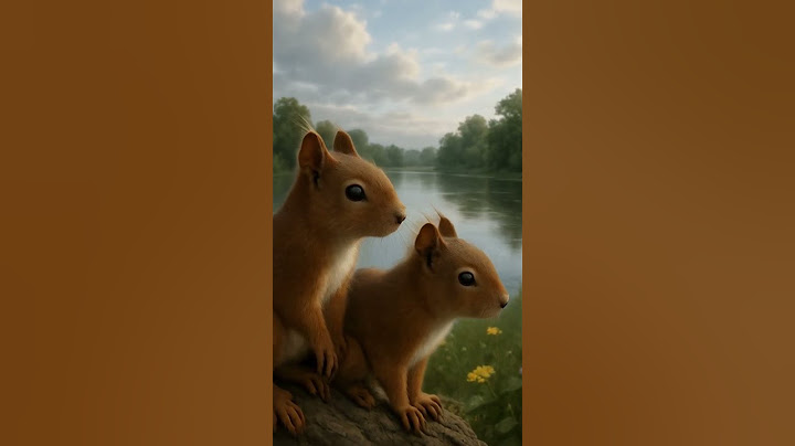 011二隻小松鼠躲雨# Two little squirrels taking shelter from the rain #Ai Video #ai影片