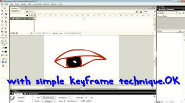 How To Create a Simple Animation Using Keyframes In Flash 8