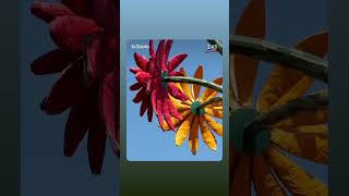 Didier Stein - Vidéo Tv2com (Vase aux 7 Dahlias)