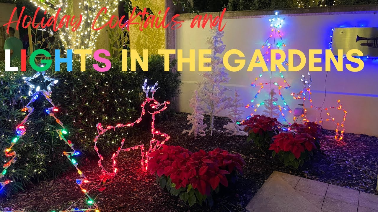 Christmas Cocktails and Lights! Bar hop in Dunedin FL and Lights in the