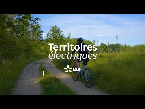 Reforestation et climat, l’engagement des entreprises avec Oklima