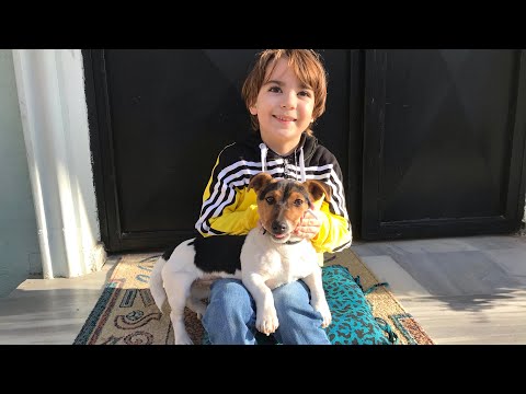 Akıllı Köpek CONİ Topu tuttu Ödülü kaptı - Eğlenceli Çocuk Videosu