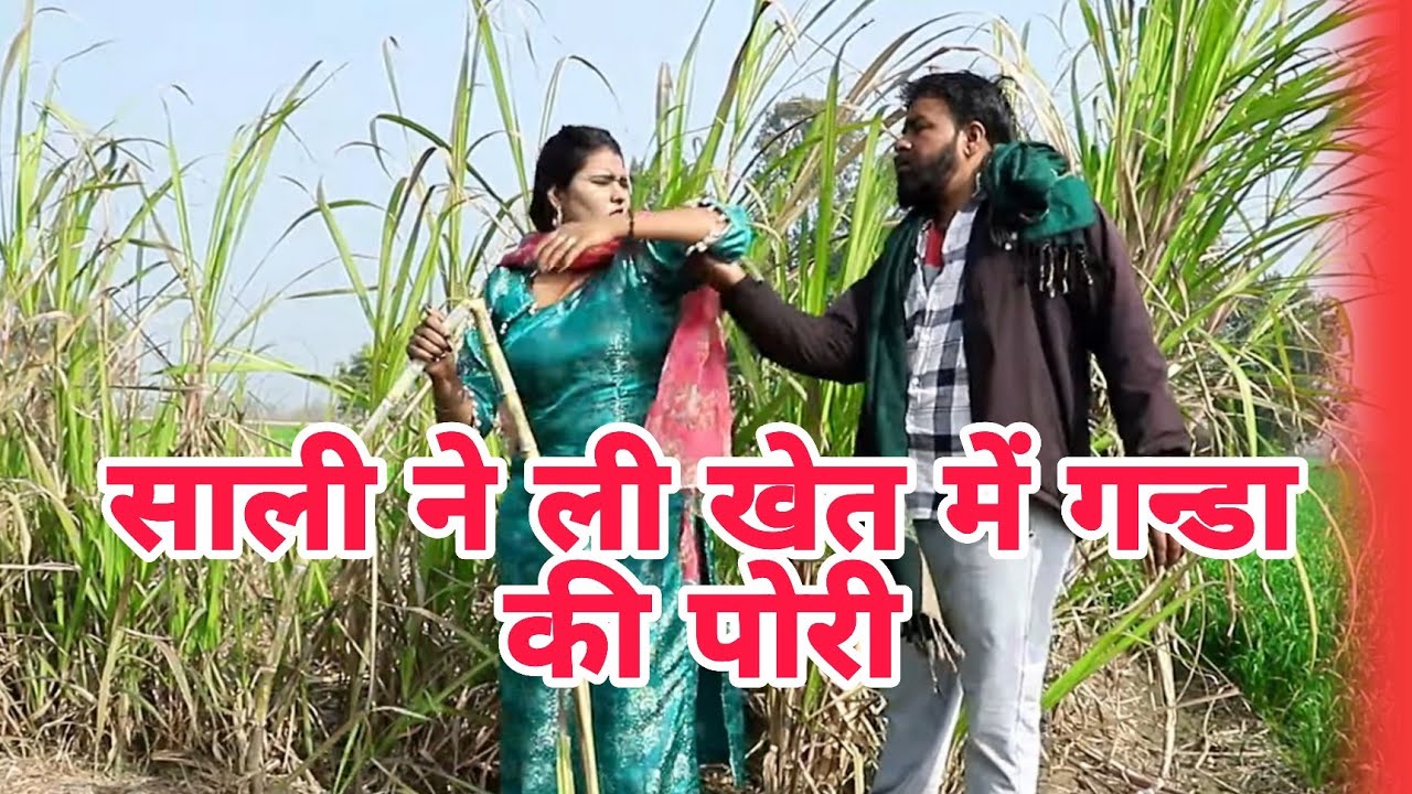 साली ने ली खेत में गन्डा की पोरी #comedy #funny #haryanvinatak #haryanvinatak #trending #poupler 
