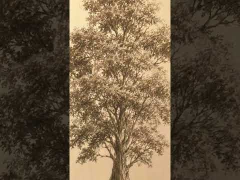 Tree Pencil Art #shorts #art #pencilsketch