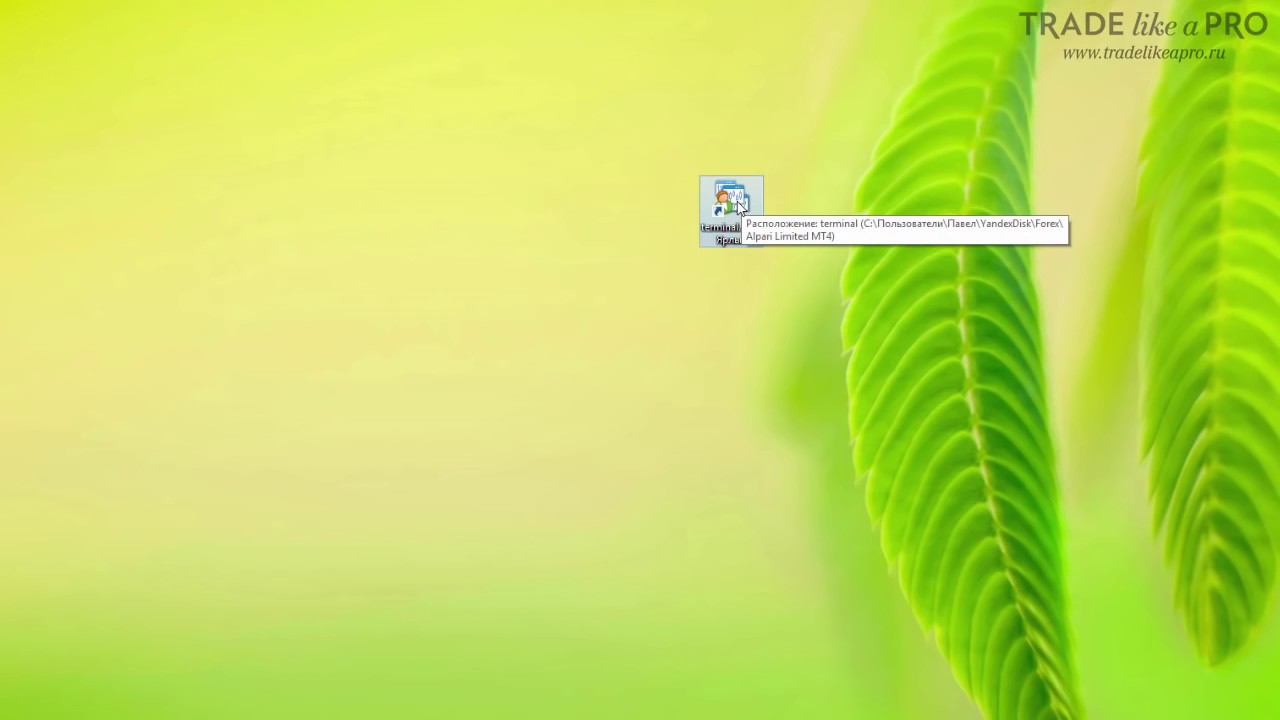 Как установить MT4 в облако