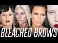 Bleached Brows WITHOUT the Bleach?