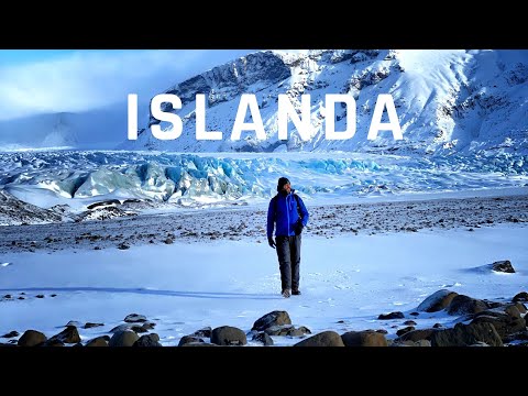 Video: Muschio Islandese - Proprietà Utili E Applicazioni Delle Ricette Di Muschio Islandese