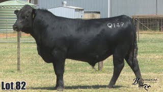 Lot 082 Boonaroo Gravoc Q149