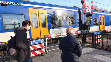 Spoorwegovergang Station Maarheeze ??4K?? // Dutch railroad crossing