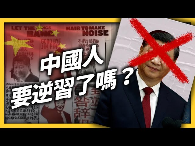 罷免獨裁國賊！從四通橋到劍橋，全球中國人都在抗議習近平？《 左邊鄰居觀察日記 》EP 074｜志祺七七