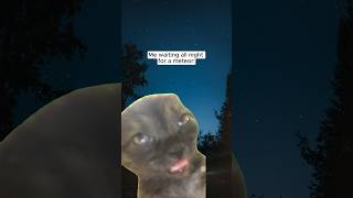 Stargazer meme pack ✨😻