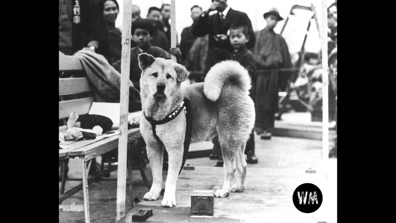 The Doors - People Are Strange (Blacksheepz Bootleg Remix)