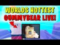 🔴 LIVE :WORLDS HOTTEST GUMMYBEAR!!!😱 (SpongeBob TD)