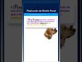 🔥 Flashcards no ANKI de Direito Penal - CP, art. 3° #flashcards #concursopublico #leiseca