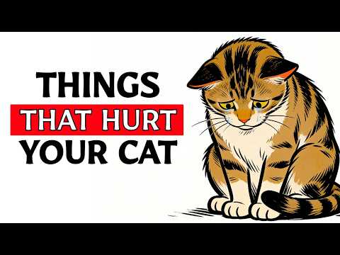 6 Ways You Are Hurting Your Cat Without Realizing
