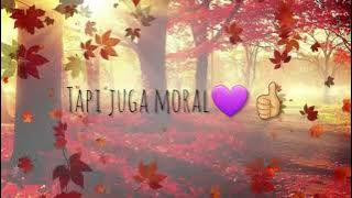 Kriteria Calon Isteri Ideal Untuk Lelaki 💖 | Story Wa Buya Syakur