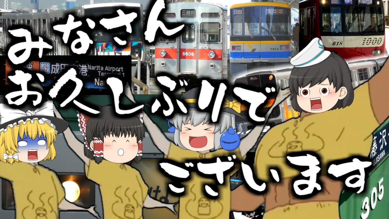 【第十回鉄道旅ゆっくり実況】185系が定期運用離脱するらしいけど無視して私鉄に乗りましょう(2021年春の関東旅行)