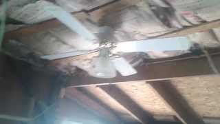 Encon Premier 42' Ceiling Fan