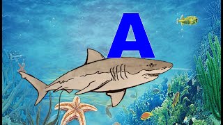 Учим букву А - Алфавит - Раскраска для детей АКУЛА -Развивающее видео для детей - Мультики для детей Учим букву А - Алфавит - Раскраска для детей АКУЛА -Развивающее видео для детей - Мультики для детей