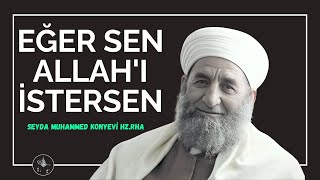 Eğer sen Allah'ı istersen - Seyda Muhammed Konyevi Hazretleri rha 🌹