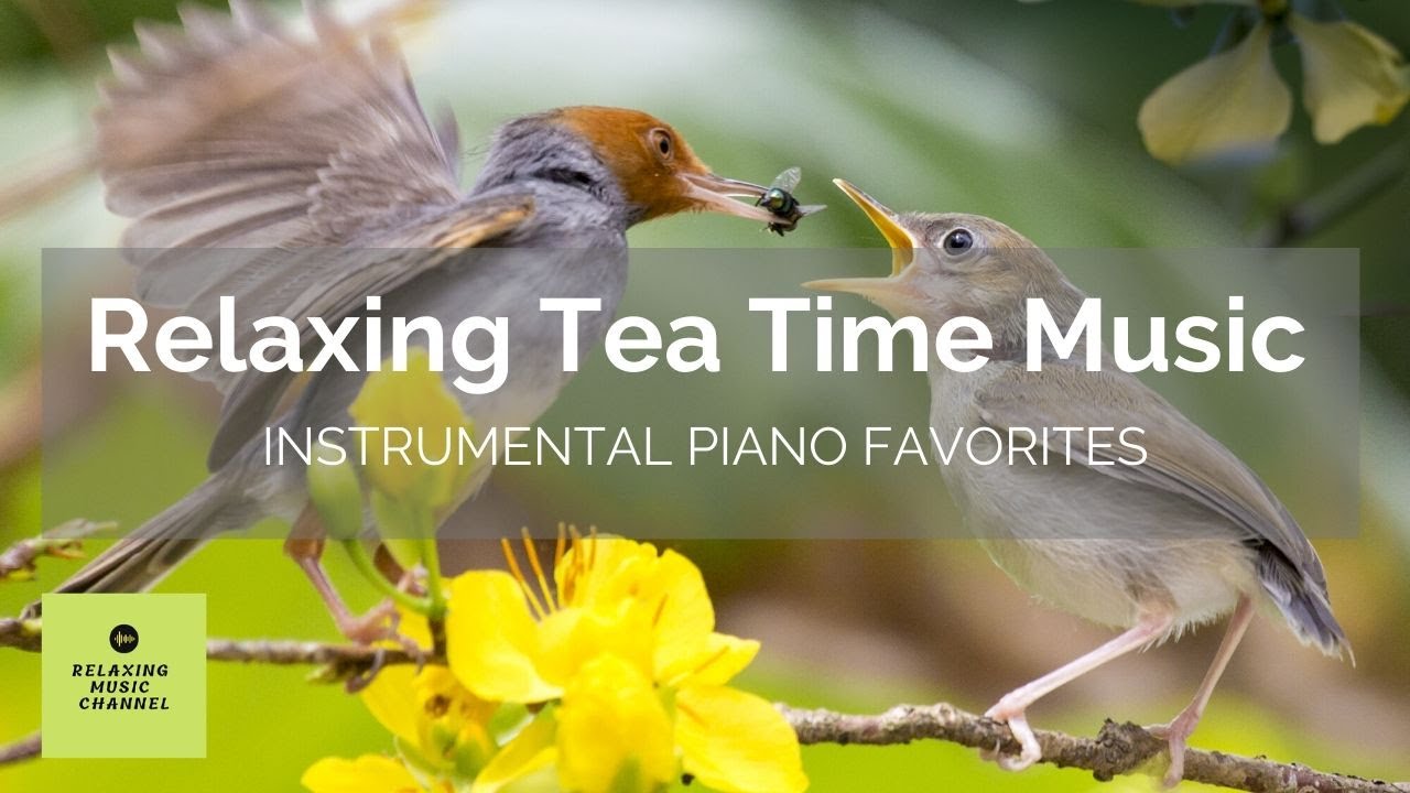 tea travel music