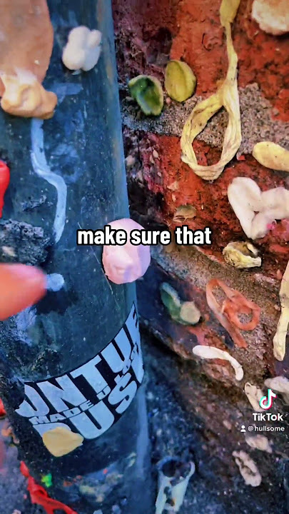 It’s IMPOSSIBLE to pick a single favorite Geocache, but THIS Gum Wall micro in seattle was SICK🦠💀