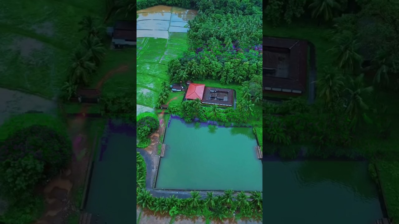 Om Gam Ganapathaye Namaha 108 Times Positive Amp Divine Energy Deeksha Krishna - Hindi Status Tube