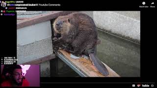 Retro reacts to Dunkey "Discussing Last of Us 2 With YouTube Comments"