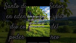 Septimo día