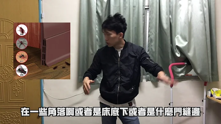 大坪数跳蚤杀虫方法 水烟没用 真实经历 绝非网路常见没经验者口头描述 台北周先生珠宝钻石 周霭宏 - 天天要闻