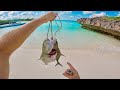 Tropical Island Catch n Cook Fishing