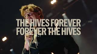 Celebrity The Hives - The Hives Forever Forever The Hives (Live at Avicii Arena, Stockholm) Net Worth
